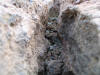 Sprkke i lava - ca.2 cm bred
